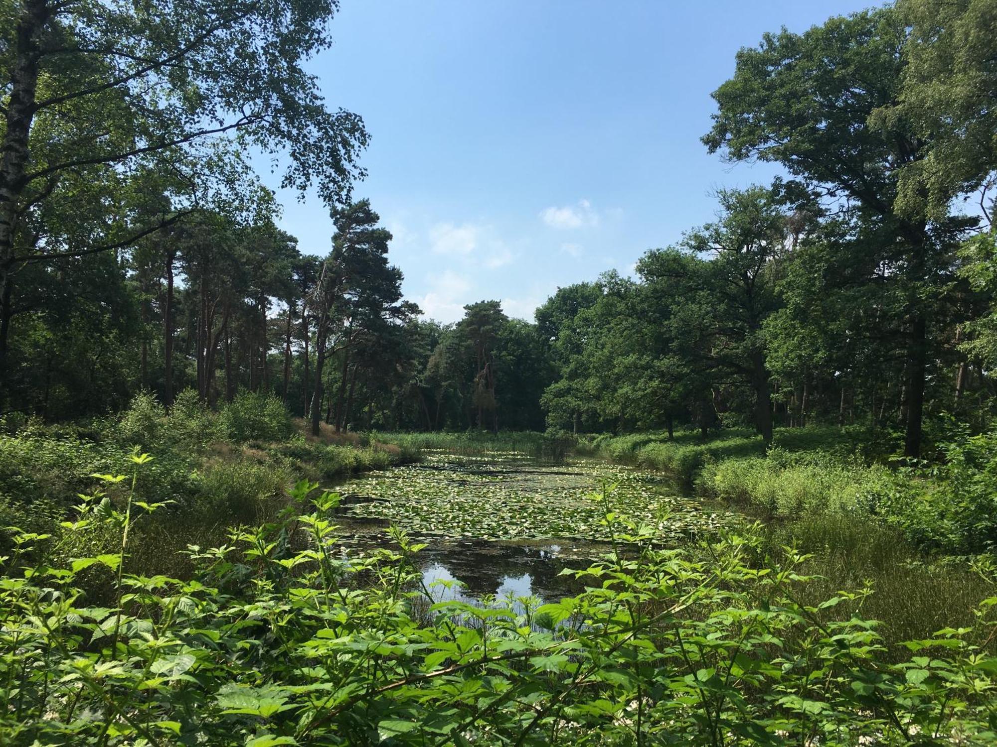 Hotel Kapellerput Heeze-Eindhoven Экстерьер фото